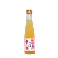 白龍 越の梅酒 純米酒仕込み 180ｍｌ　白龍酒造