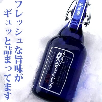 【産地直送】えちご只今さんじょう　しぼりたて生酒<br>特別純米酒 500ml[クリアケース入り]福顔酒造 日本酒/純米酒 しぼりたて 新酒