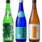 越後流旨口 潟 本醸造 720ml と 越乃寒梅 灑 純米吟醸 720mlと越乃寒梅 金無垢 純米大吟醸 720ml |3本セット|720ml飲み比べ