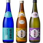 越乃寒梅 灑 純米吟醸 720ml と 越乃寒梅 白ラベル 720mlと越乃寒梅 特撰 吟醸 720ml |3本セット|720ml飲み比べ