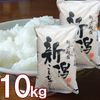 新潟産 コシヒカリ 10kg 送料無料 新潟県産 （5キロ×2個）10キロ お米 令和7年 新米 精米 白米 米どころ新潟のコシヒカリを産地直送 新鮮なこしひかりを精米した当店人気ナンバーワンの新潟魚