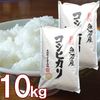 魚沼産 コシヒカリ 10kg (5kg 2袋)送料無料 新潟県産 令和7年産 10キロ お米 新米 精米 白米 こしひかり