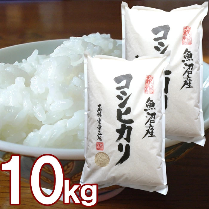 魚沼産 コシヒカリ 10kg (5kg 2袋)送料無料 新潟県産 令和7年産 10キロ