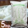 新潟産 こしいぶき 5kg 新潟県産 5キロ お米 令和7年 新米 精米 白米 米どころ新潟のコシイブキを産地直送 精米したて新鮮なお米 コシヒカリから生まれたあっさりした味わいとお求めやすい価格が人