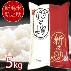 【産地直送】新潟米 新之助 5kg 新潟県産 お米 米 白米 ご飯 ライス お米 大粒 甘味 しんのすけ 新潟 お米 白米 ご飯