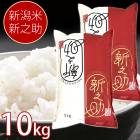 【産地直送】新潟米 新之助 10kg(5kg×2袋) 新潟県産 お米 米 白米 ご飯 ライス お米 大粒 甘味 しんのすけ 新潟 お米 白米 ご飯 送料無料