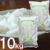 新潟産 こしいぶき 10kg (5kg 2袋)新潟県産 10キロ お米 令和7年 新米 精米 白米 米どころ新潟のコシイブキを産地直送 精米したて新鮮なお米 コシヒカリから生まれたあっさりした味わいと