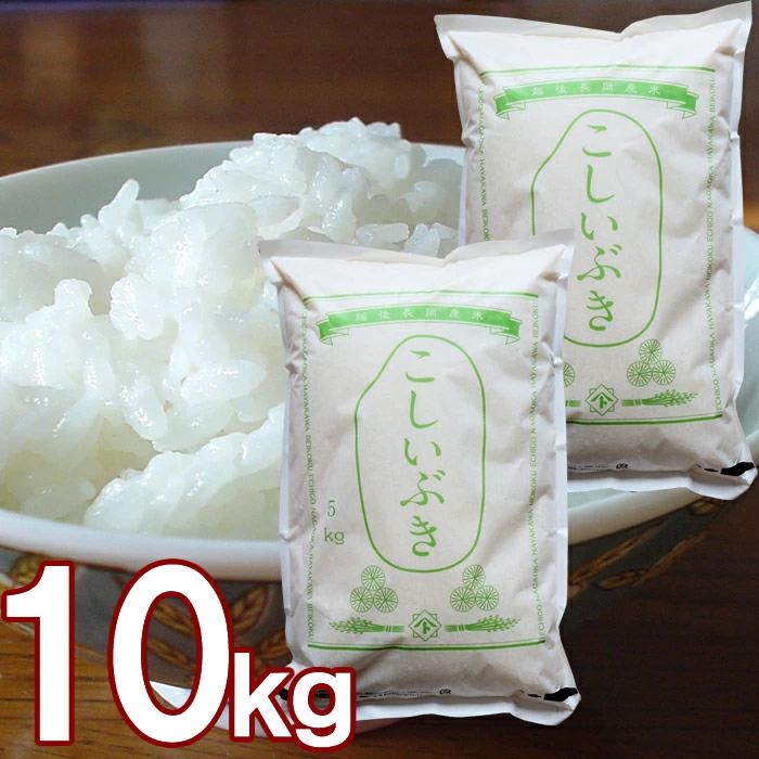 新潟産 こしいぶき 10kg (5kg 2袋)新潟県産 10キロ お米 令和7年 新米 精米 白米 米どころ新潟のコシイブキを産地直送 精米したて新鮮なお米 コシヒカリから生まれたあっさりした味わいとお求めやすい価格が人気 ご自宅用はもちろんギフト贈り物にも