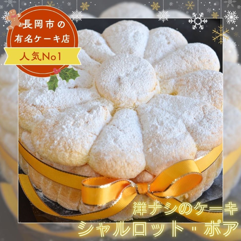 シャルロット・ポア 直径15センチ