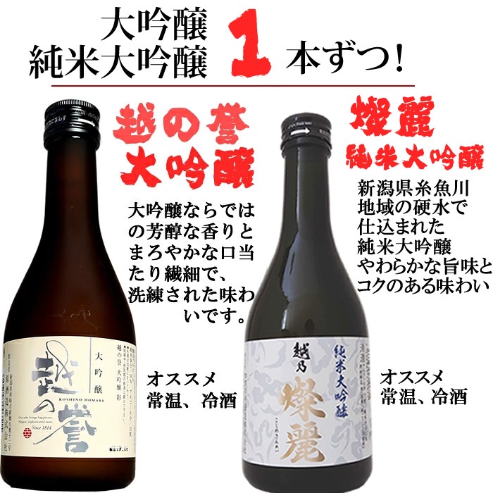 定価23419円‼️ お得‼️日本酒　12本セット　飲み比べ 新潟 日本酒 12種類 飲み比べセット 300ml 12本 ミニボトル 辛口 大