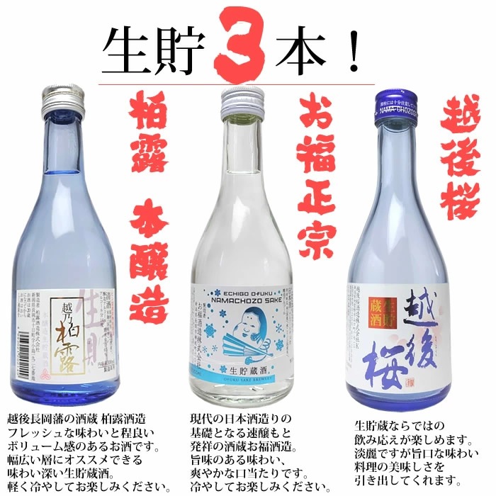 新潟 日本酒 12種類 飲み比べセット 300ml 12本 ミニボトル 辛口 大
