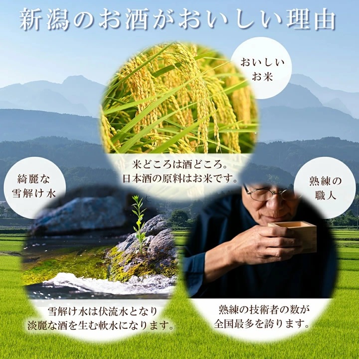 新潟 日本酒 12種類 飲み比べセット 300ml 12本 ミニボトル 辛口 大
