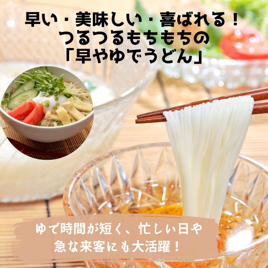 お試し メール便 良寛の里 手まりうどん ざる用 200g 4個 熟成に時間をかけて乾燥させたコシの強い多加水熟成麺 与板製麺所 長岡市のグルメ麺