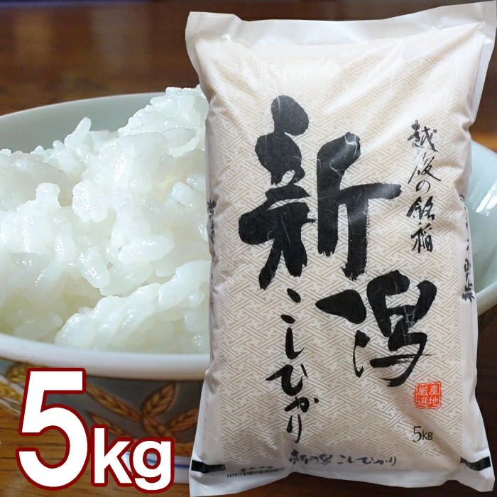 新潟産 コシヒカリ 5kg 送料無料 新潟県産 5キロ お米 令和7年 新米