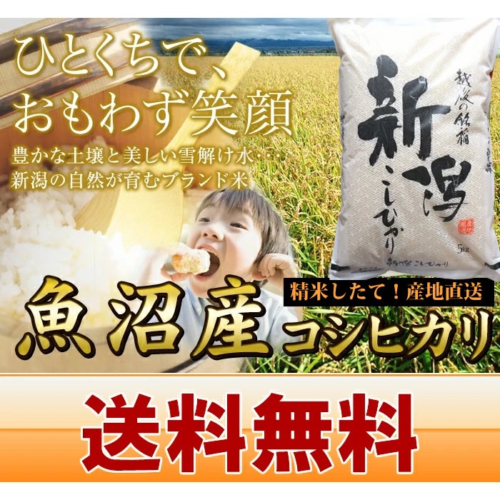 魚沼産 コシヒカリ 10kg (5kg 2袋)送料無料 新潟県産 令和7年産 10キロ
