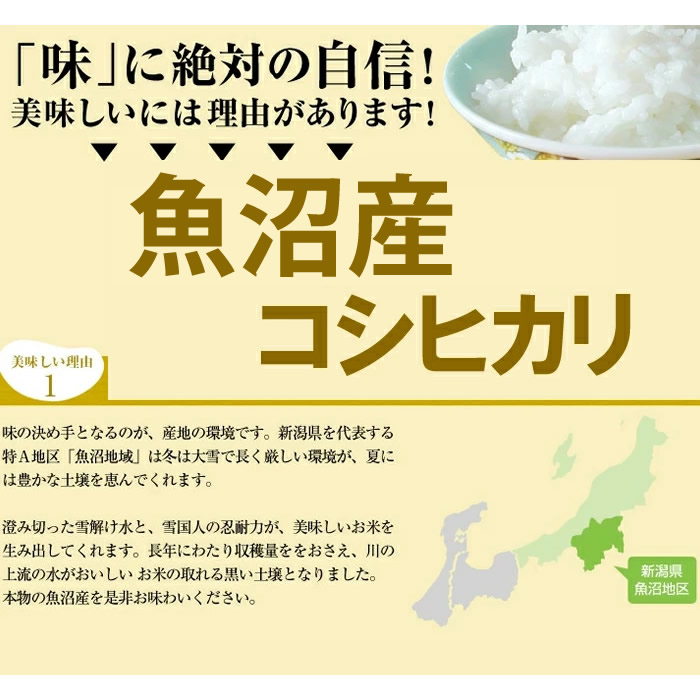 魚沼産 コシヒカリ 10kg (5kg 2袋)送料無料 新潟県産 令和7年産 10キロ