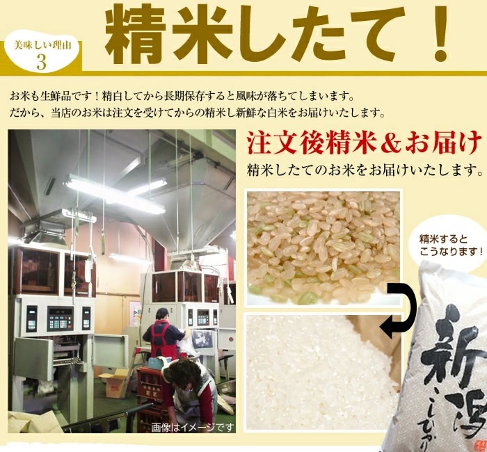 魚沼産 コシヒカリ 10kg (5kg 2袋)送料無料 新潟県産 令和7年産 10キロ