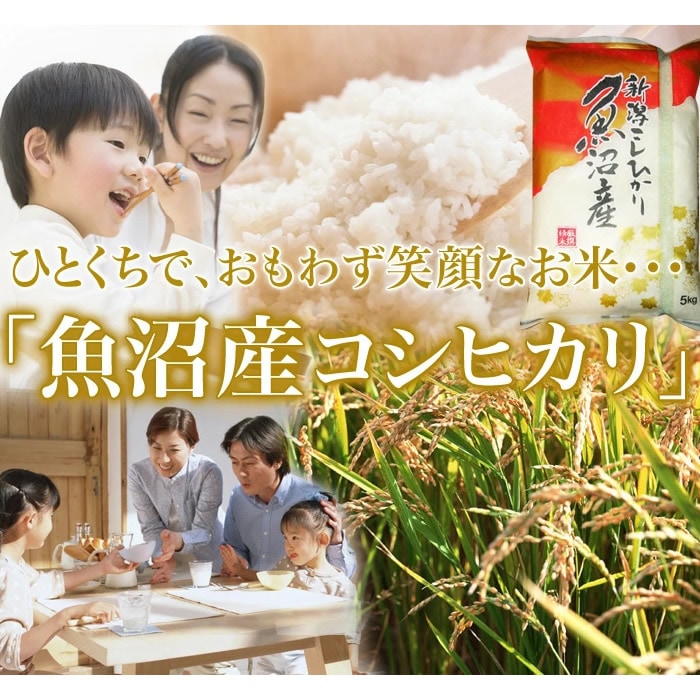 魚沼産 コシヒカリ 10kg (5kg 2袋)送料無料 新潟県産 令和7年産 10キロ