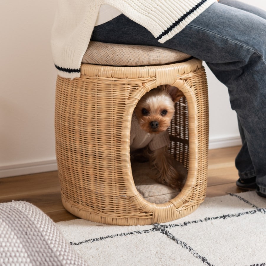 ペットスツール 犬や猫と一緒にくつろげる椅子＆おもちゃ、小物入れにも使える万能スツール