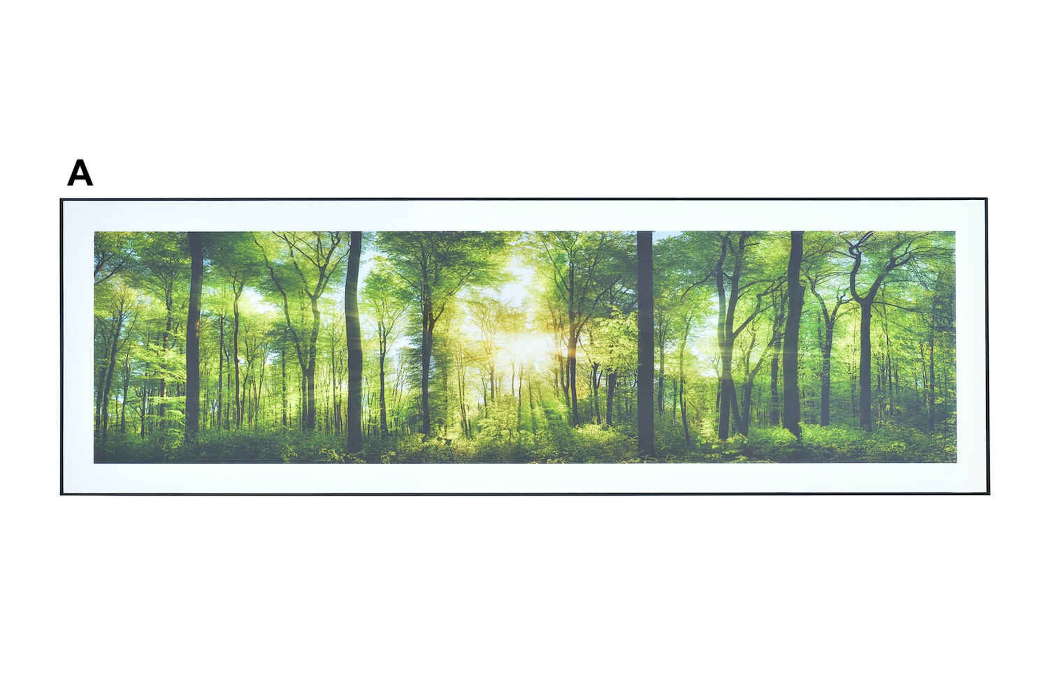 アートパネル（ワイド）