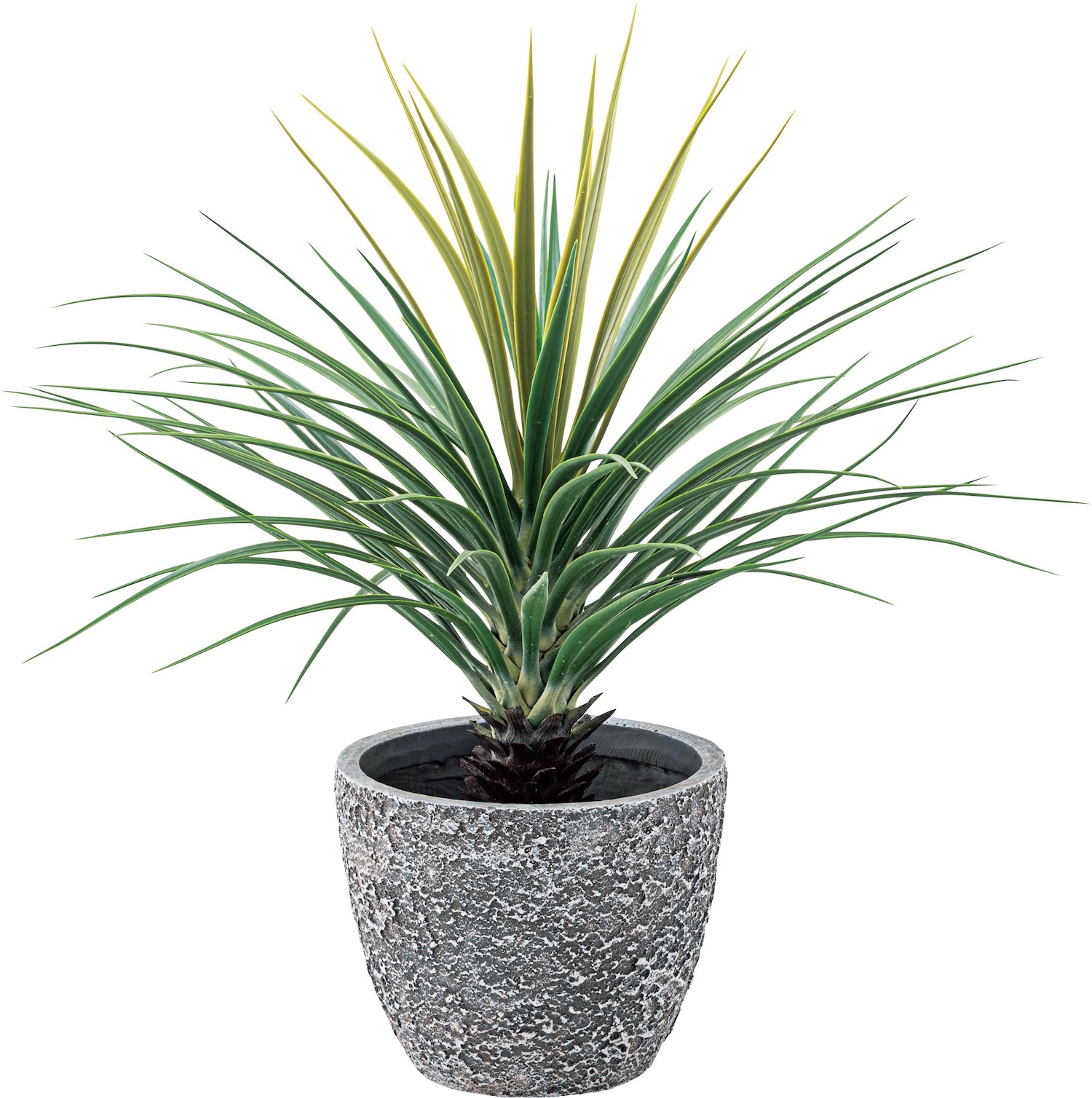 グリーンベース