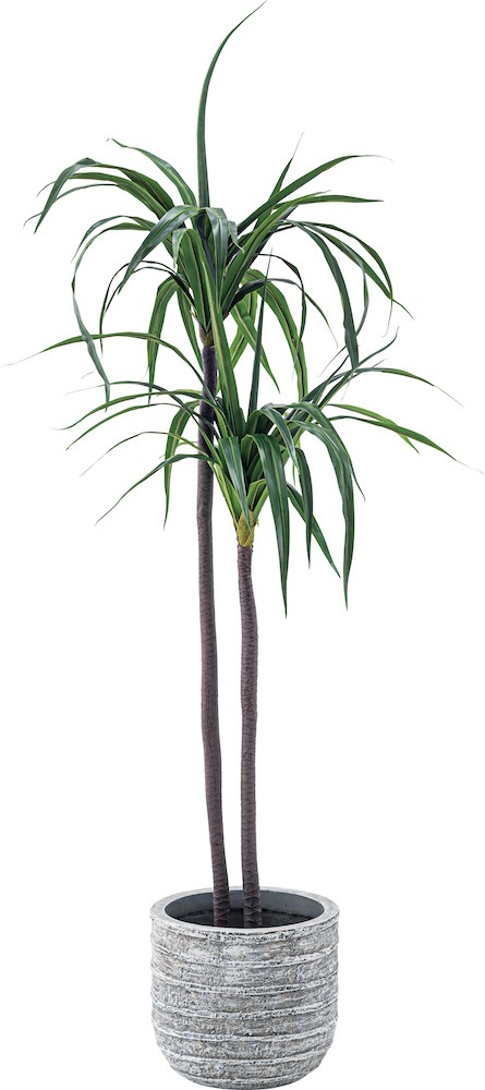 グリーンベース