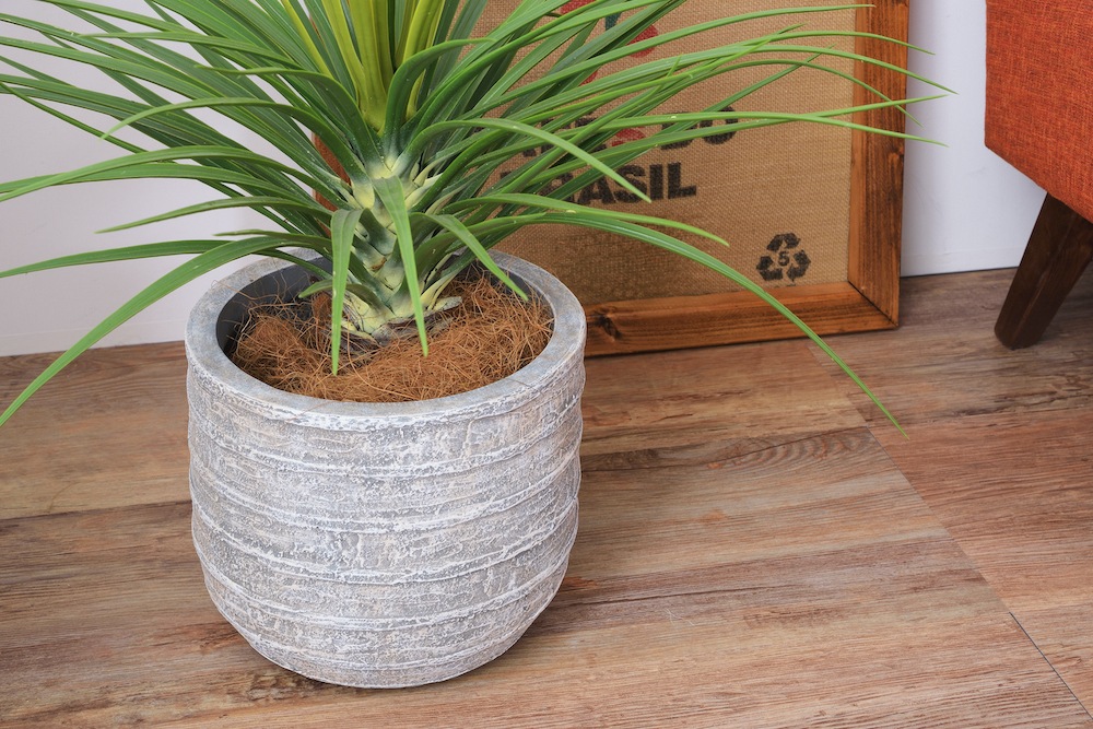 グリーンベース