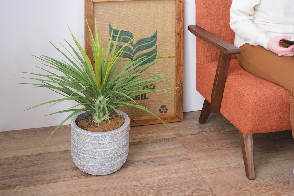 グリーンベース