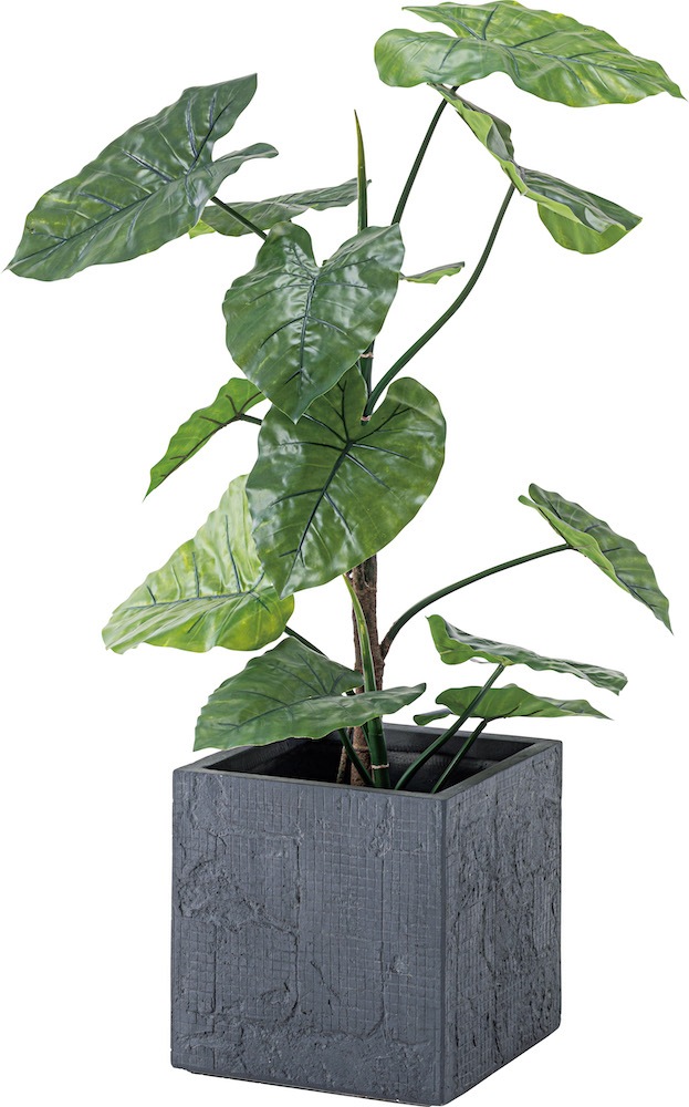 グリーンベース