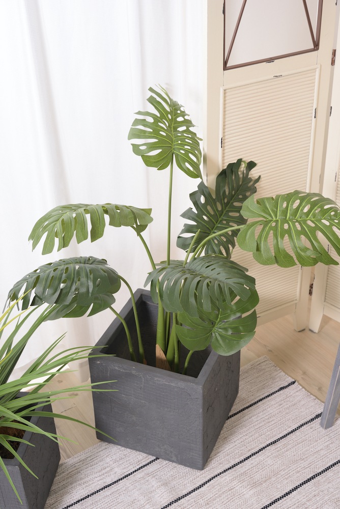 グリーンベース