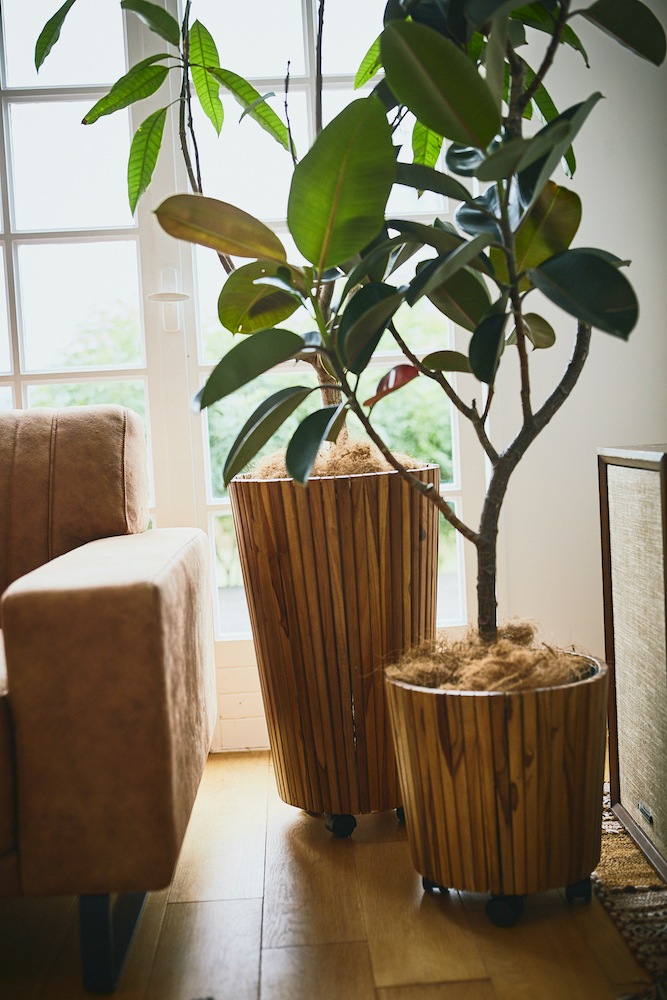 グリーンベース