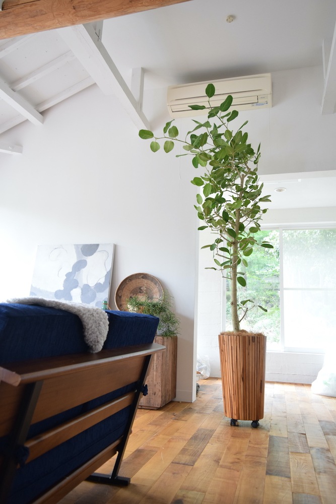 グリーンベース