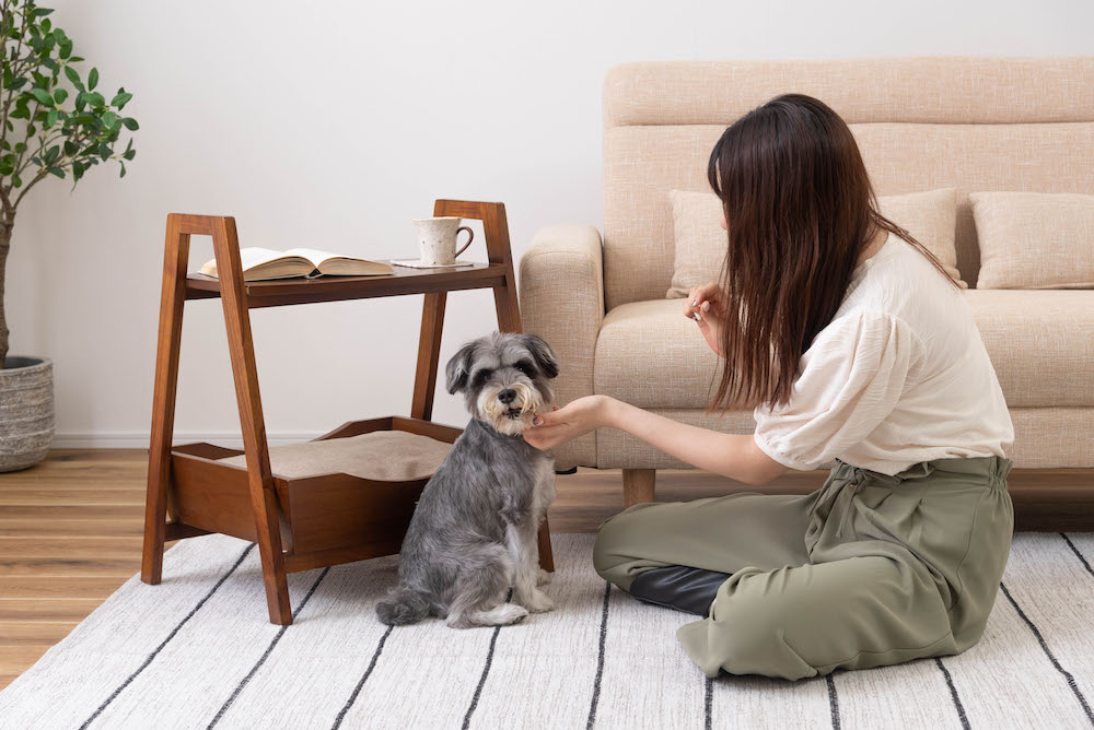 ペットとお部屋でくつろぐためのペットサイドテーブル