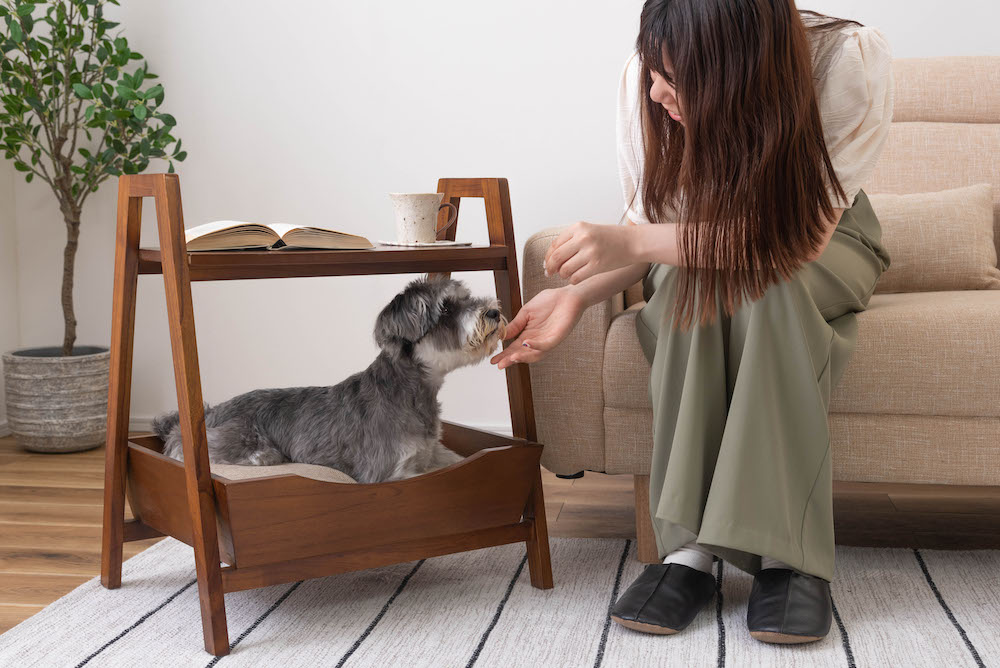ペットとお部屋でくつろぐためのペットサイドテーブル