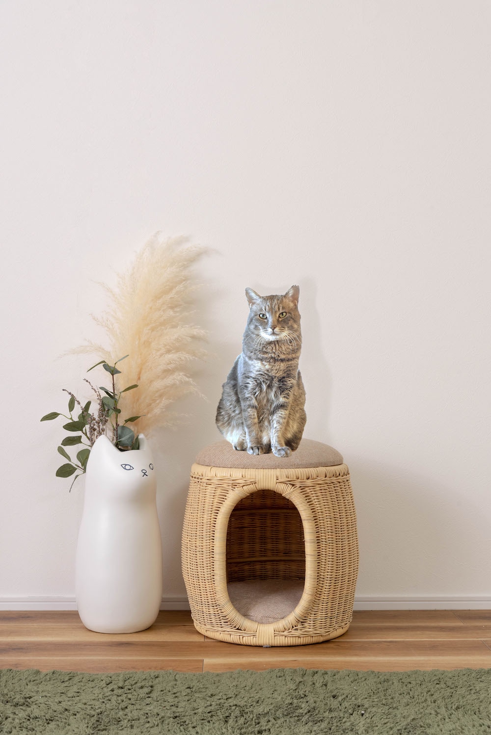 ペットスツール 犬や猫と一緒にくつろげる椅子＆おもちゃ、小物入れにも使える万能スツール