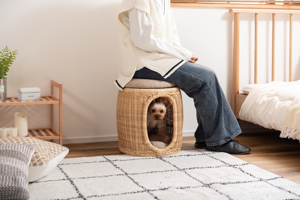 ペットスツール 犬や猫と一緒にくつろげる椅子＆おもちゃ、小物入れにも使える万能スツール