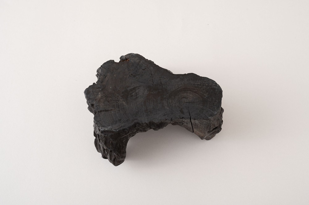 吹きガラスと天然流木の世界にひとつのガラスオブジェ/テラリウム・フラワーベース・小生物の水槽などに 【まとめ買いで最大10%OFF対象商品】