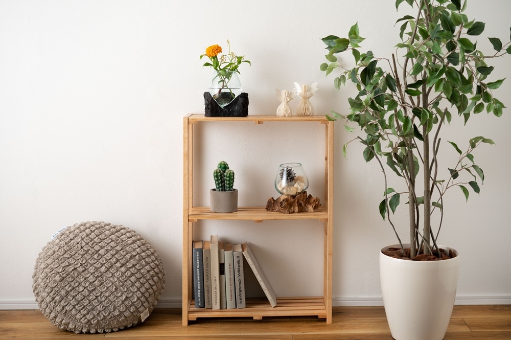 吹きガラスと天然流木の世界にひとつのガラスオブジェ/テラリウム・フラワーベース・小生物の水槽などに 【まとめ買いで最大10%OFF対象商品】