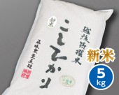 �㿷�Ƣ� ���� �̾��񻺡� �����ҥ��� 5kg��ê���ơ�����7ǯ�ٻ�