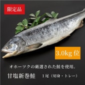 ̳ƻ ű 13.0kgˡڿȡȥ졼ۡե/Τб