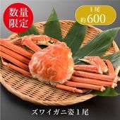 ���磻���˻� ���� 600��� ��ܥ�������� ���襤�������ե�/�Τ��б���