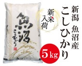 �㿷�Ƣ� ���� �ڵ��»��� �����ҥ��� 5kg������7ǯ�ٻ�