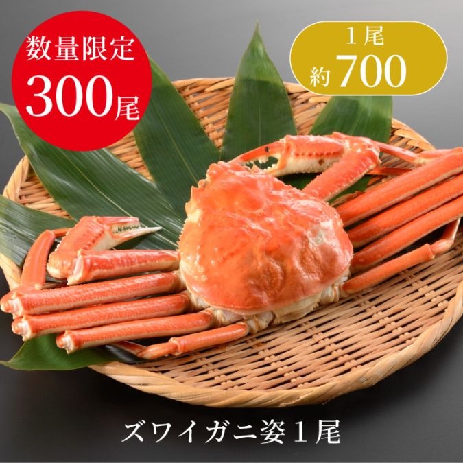 味の特急便 日本海便り/商品詳細 【数量限定】ズワイガニ姿 1尾 700g