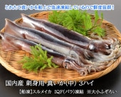 ̸ ⻺ ɿѡ3ϥ  IQFʥХ롡ᥤ羮դ