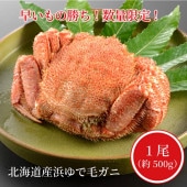 �ڿ��̸�����̳�ƻ���ͤ���ӥ���1����500g�̡ˢ�ܥ��������