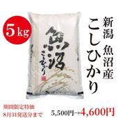 ����ָ����ò��� ���� �ڵ��»��� �����ҥ��� 5kg�����£�ǯ�ٻ��ʱ�Ĺ����8/31ȯ��ʬ�ޤǡ�