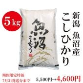 ����ָ����ò��� ���� �ڵ��»��� �����ҥ��� 5kg�����£�ǯ�ٻ��ʡ�7/31ȯ��ʬ�ޤǡ�