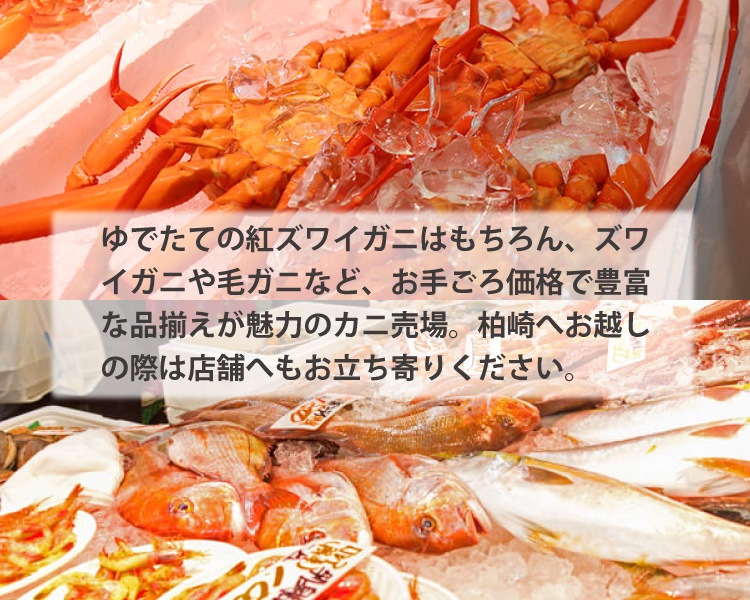 ������̵�������Ԥο͵�PR����饯���� ��������̤�����ߡ���ˢ�20�θ��꡿���̲��ʢ�