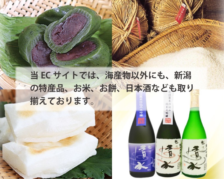 ������̵�������Ԥο͵�PR����饯���� ��������̤�����ߡ���ˢ�20�θ��꡿���̲��ʢ�