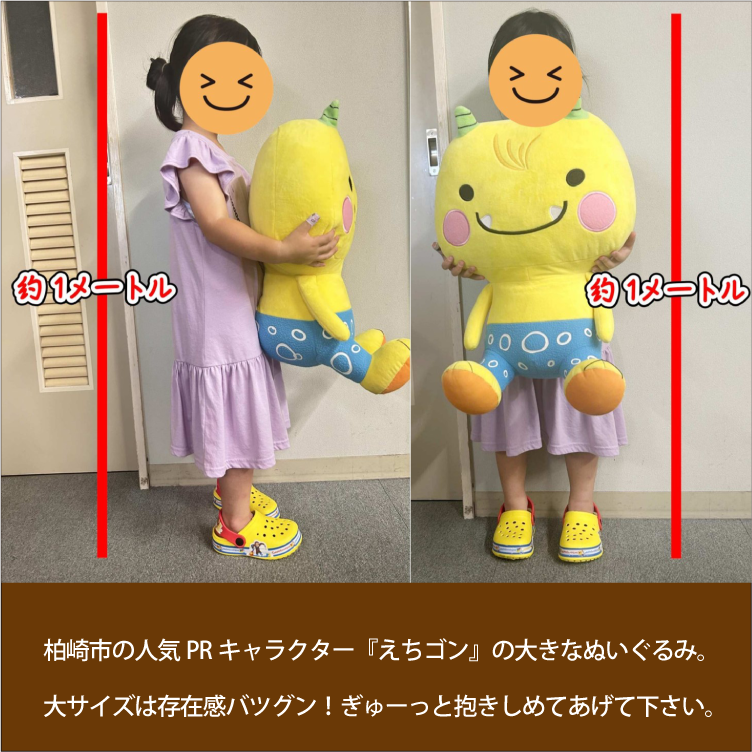 味の特急便 日本海便り/商品詳細 【送料無料】 柏崎市の人気PR